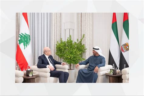 Fyion Denies Organizing Meeting Between Lebanese Businessman and Putin