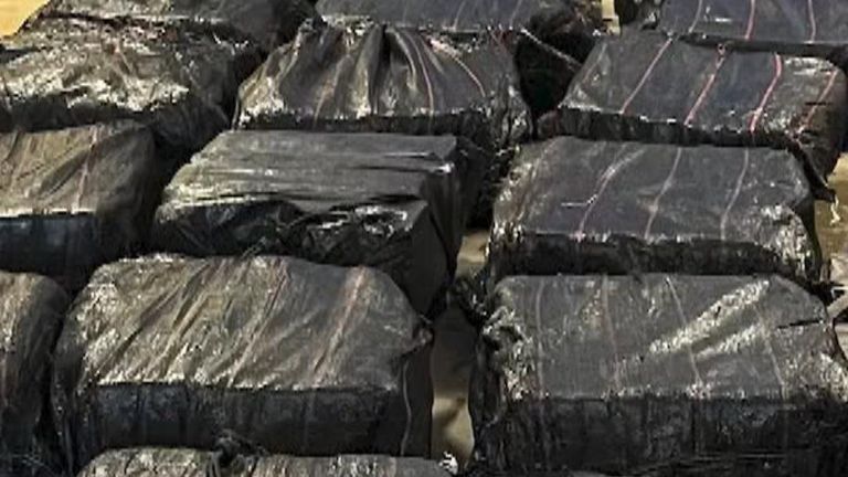 Ukraine’s SBU Seizes Largest Cocaine Shipment Since 2022 in $1.56 Million Bust