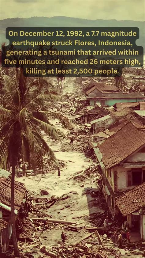 Major Earthquake Strikes Flores Island, Triggering Tsunami Warnings