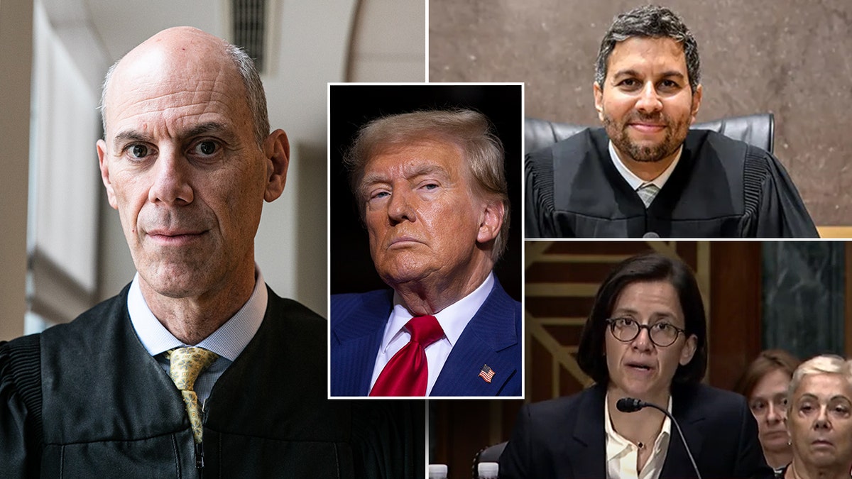 Trump Administration’s Revised Voter Verification System Upheld by Supreme Court