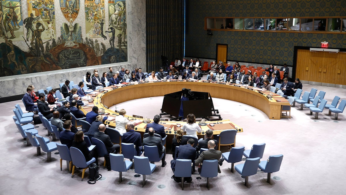 France Blocks Belarus from UN Security Council Debate on Ukraine