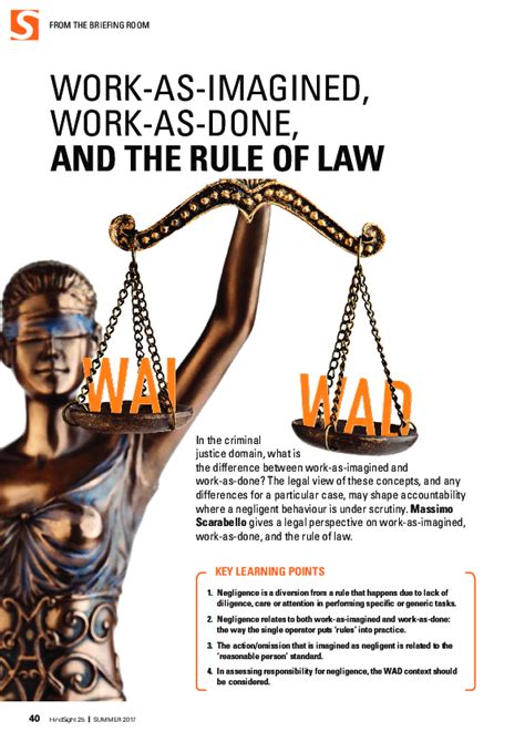 The Rule of Law at Risk: How Women’s Ascendancy in Key Professions Threatens American Institutions